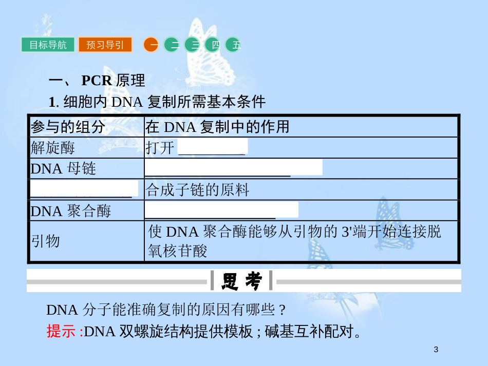 高中生物 专题5 DNA和蛋白质技术 5.2 多聚酶链式反应扩增DNA片段课件 新人教版选修1_第3页