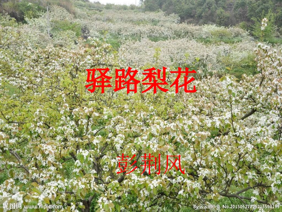 七年级语文下册 第四单元 14《驿路梨花》课件 新人教版_第1页