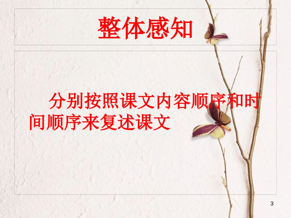 七年级语文下册 第四单元 14《驿路梨花》课件 新人教版_第3页