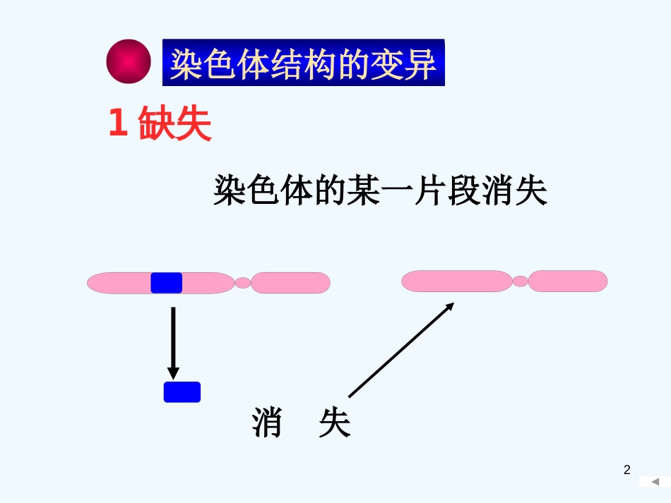 高中生物《第五章 第二节 染色体变异》课件1 新人教版必修2_第2页