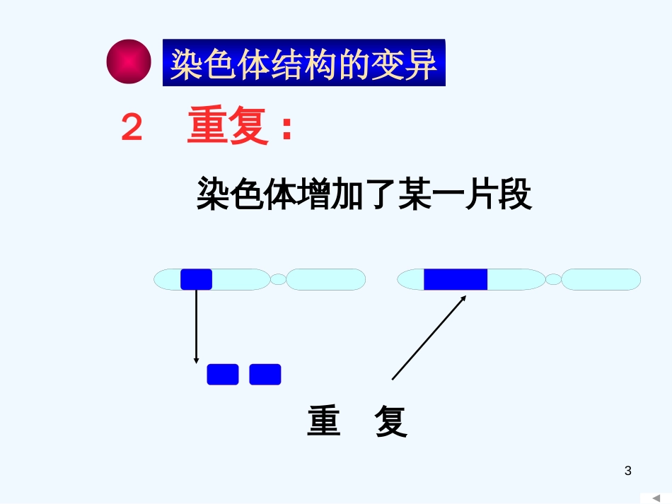 高中生物《第五章 第二节 染色体变异》课件1 新人教版必修2_第3页