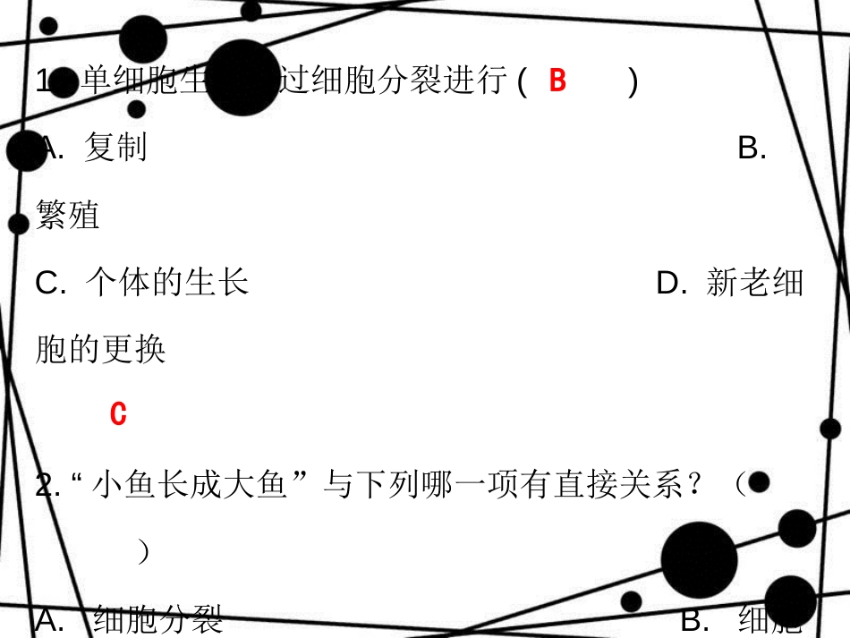 七年级生物上册 第二单元 第二章 第一节 细胞通过分裂产生新细胞课堂十分钟课件 （新版）新人教版_第2页