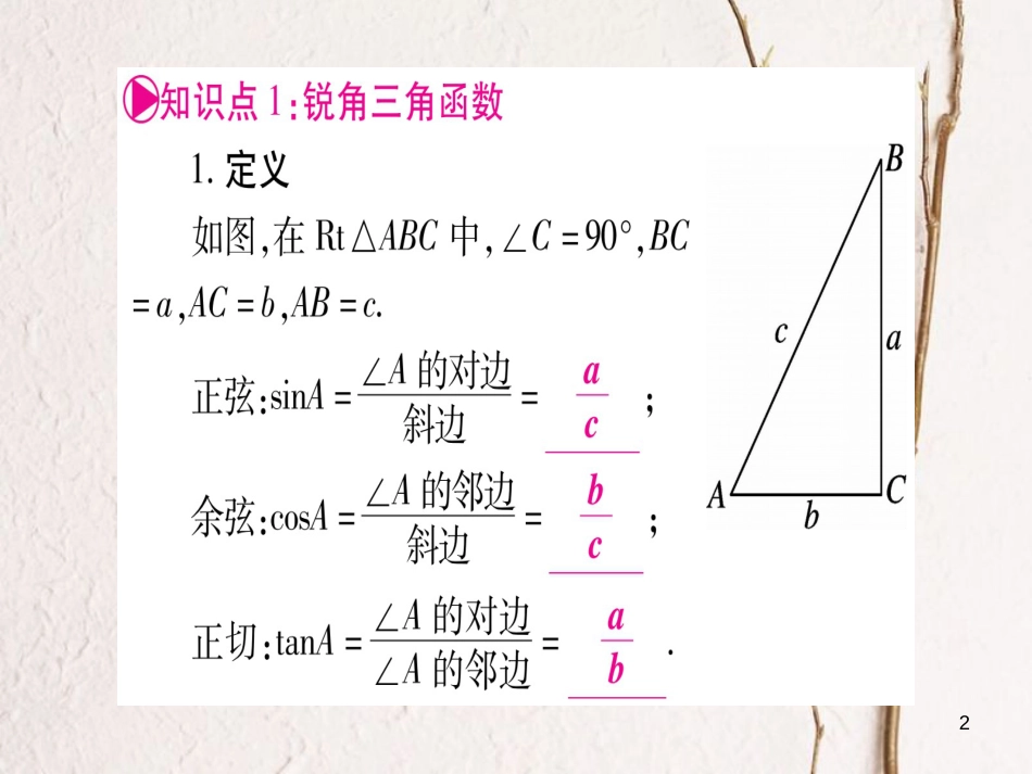 湖南省中考数学复习 第1轮 考点系统复习 第4章 三角形 第6节 锐角三角函数及其应用课件_第2页