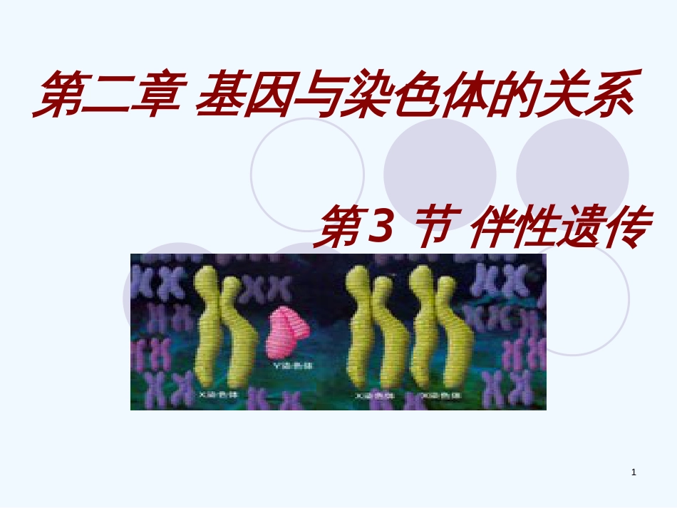 高中生物《第二章 第三节 伴性遗传》课件4 新人教版必修2_第1页
