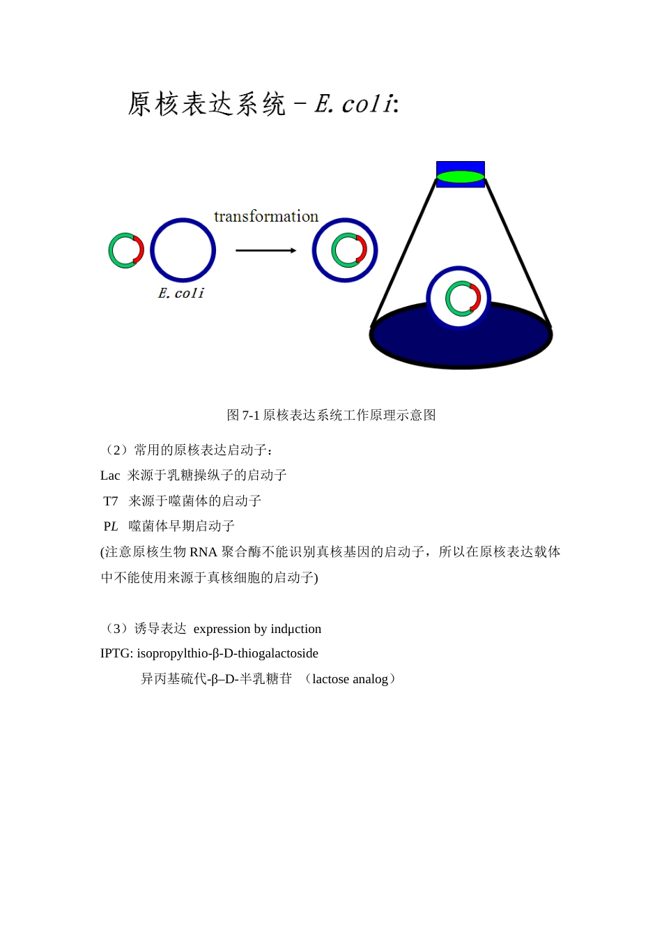 (62)--实验七 外源基因在大肠杆菌中的表达（或诱导表达）和检测_第2页