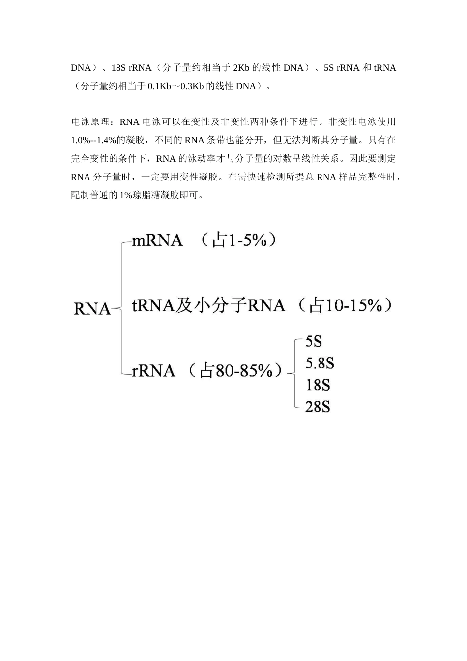 (65)--实验二 动物组织总RNA抽提与定量_第2页