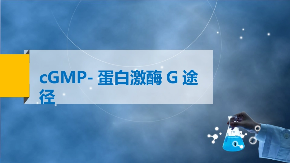 (68)--7.3cGMP-蛋白激酶G途径_第2页