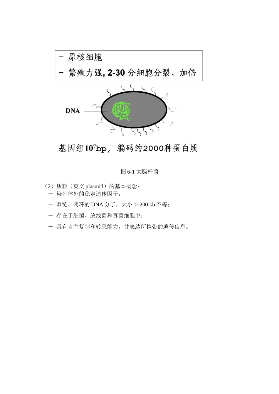 (68)--实验六 重组质粒DNA的提取及插入酶切鉴定_第2页