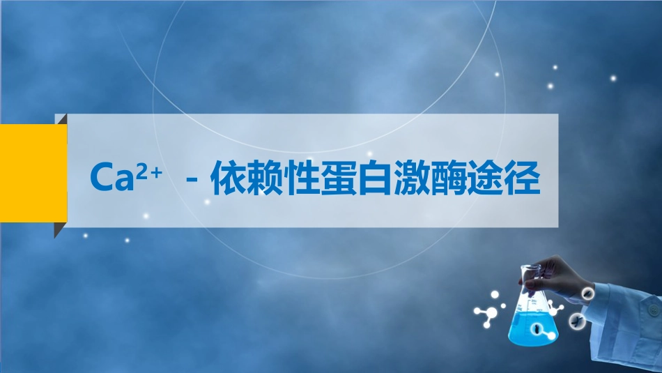 (69)--7.4 Ca2+－依赖性蛋白激酶途径_第2页