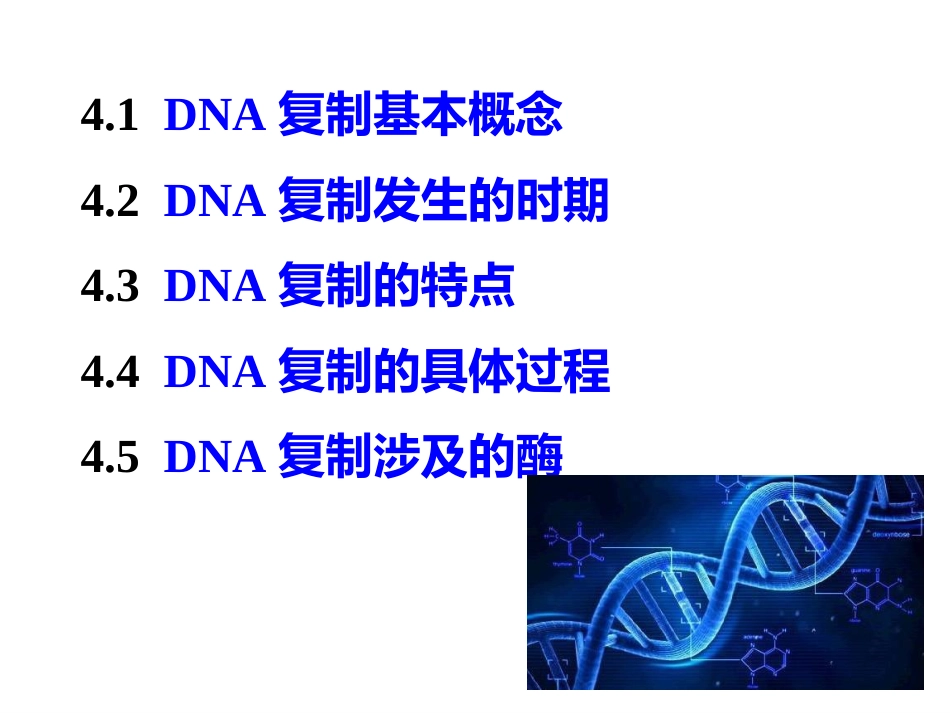 (81)--第 4 章 DNA 复制（DNA Replication）分子生物学基础_第2页