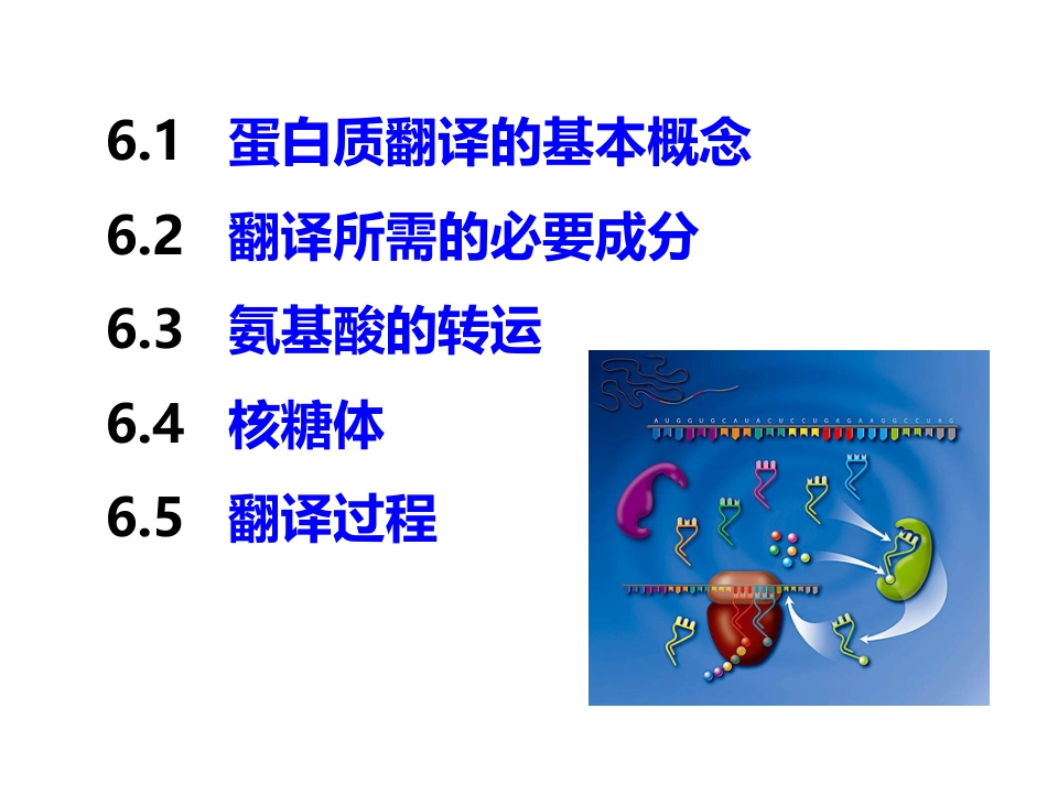 (85)--第 6 章 蛋白质翻译（DNA Translation）分子生物学基础_第2页