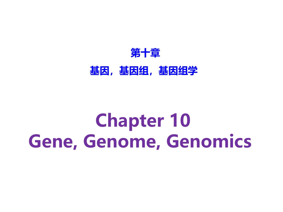 分子生物学基础 (4)分子生物学_第1页