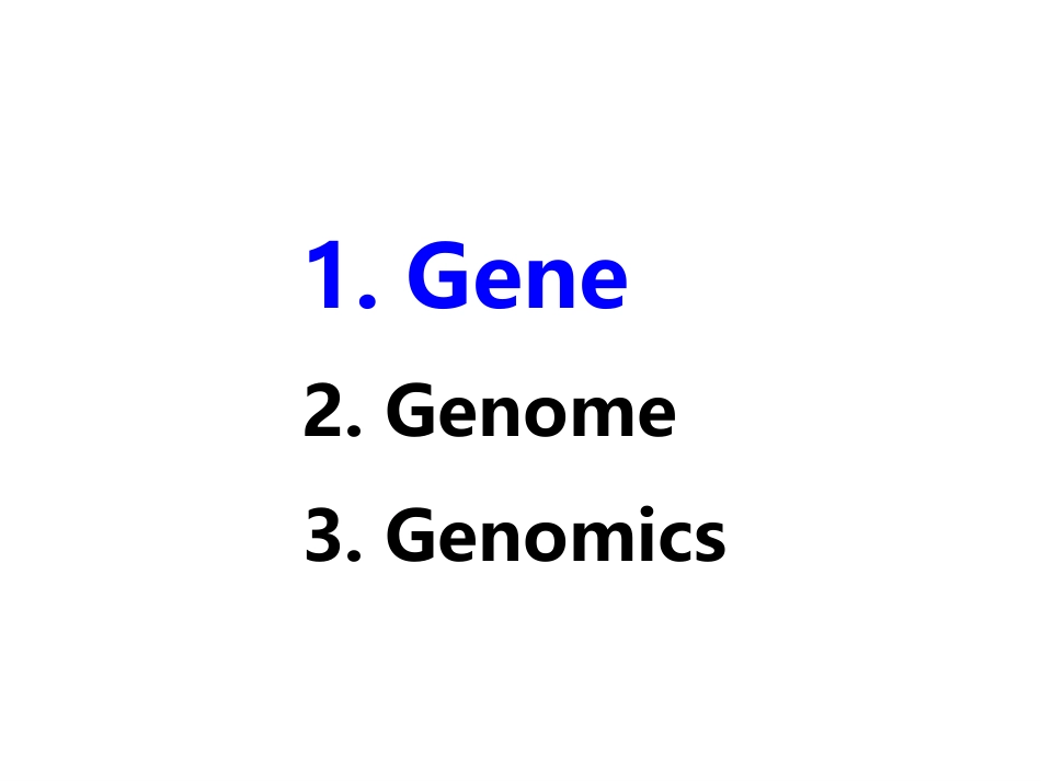 分子生物学基础 (4)分子生物学_第2页