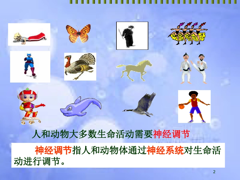 福建省寿宁县高中生物 第二章 动物和人体生命活动的调节 2.1 通过神经系统的调节课件 新人教版必修3_第2页