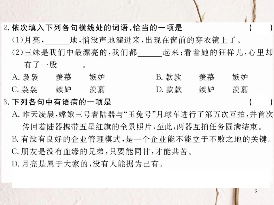 八年级语文下册 第二单元 8 月迹习题课件 鄂教版[共21页][共21页]_第3页