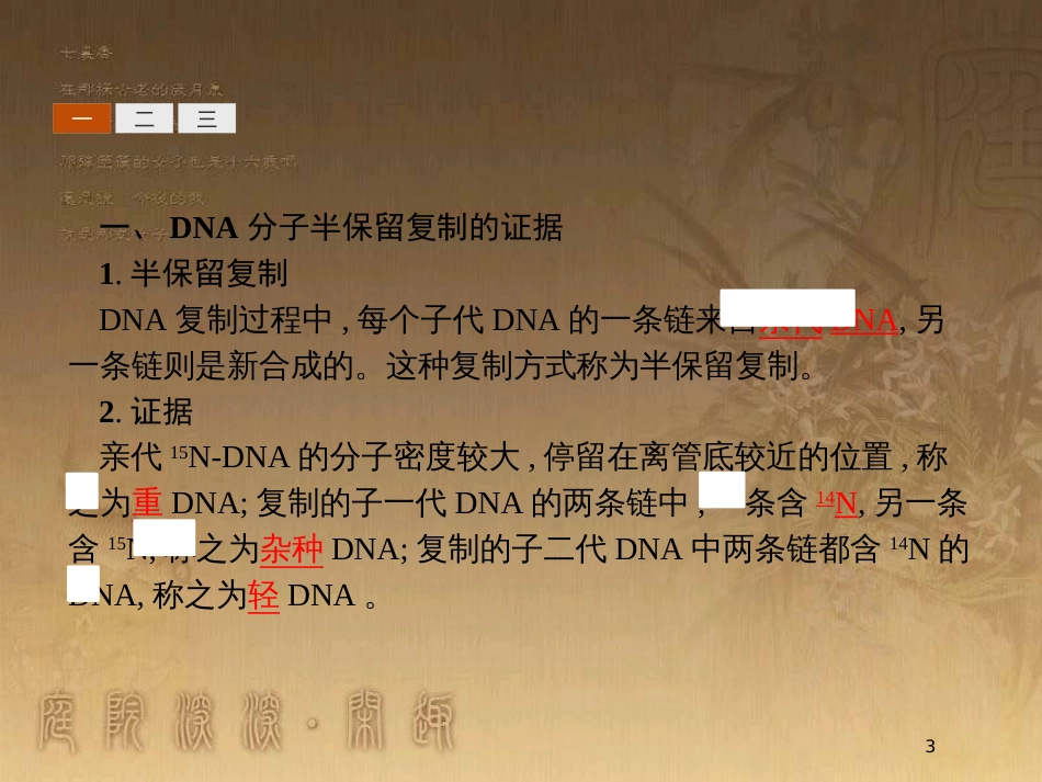 高中生物 第3章 遗传信息的复制与表达 3.1 遗传信息的复制优质课件 北师大版必修2_第3页