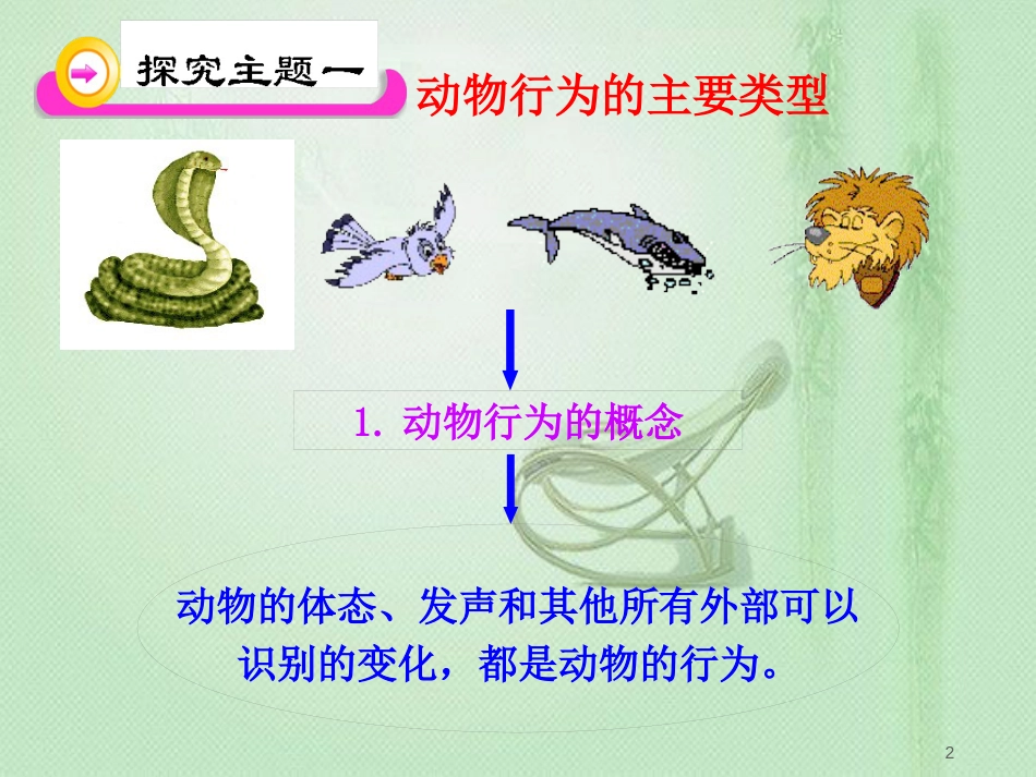 八年级生物上册 第16章 第2节动物行为的主要类型优质课件 （新版）北师大版_第2页