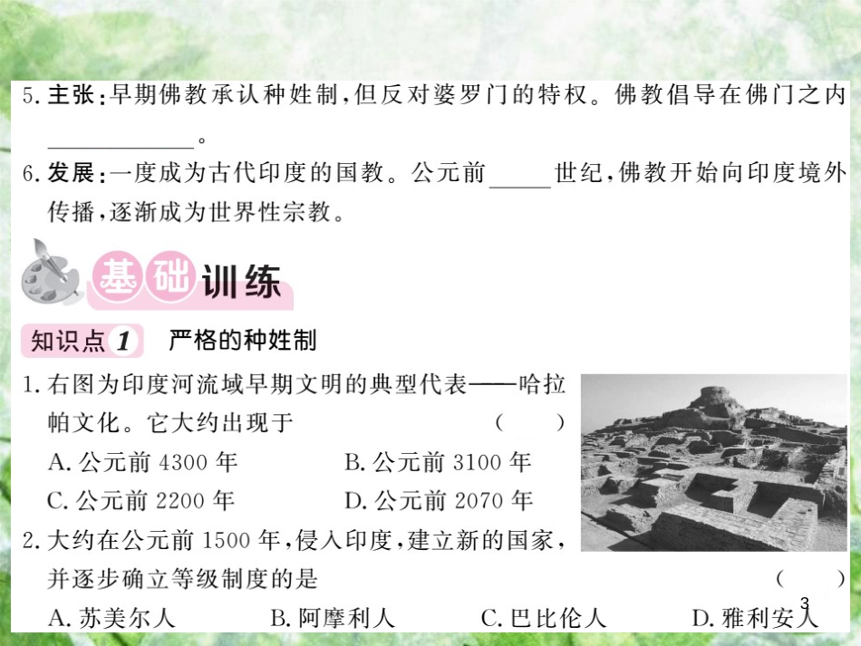 九年级历史上册 第一单元 上古亚非文明 第3课 古代印度优质课件 岳麓版_第3页