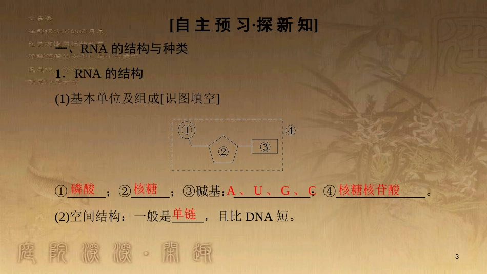 高中生物 第四章 基因的表达 第1节 基因指导蛋白质的合成优质课件 新人教版必修2_第3页