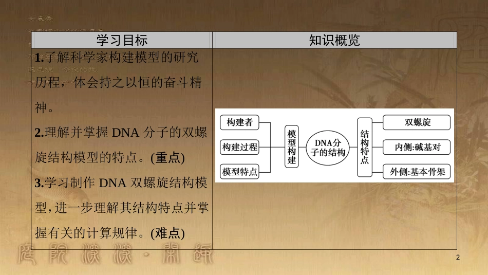 高中生物 第三章 基因的本质 第2节 DNA分子的结构优质课件 新人教版必修2_第2页