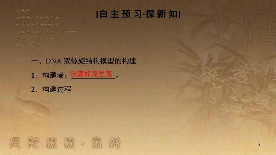 高中生物 第三章 基因的本质 第2节 DNA分子的结构优质课件 新人教版必修2_第3页