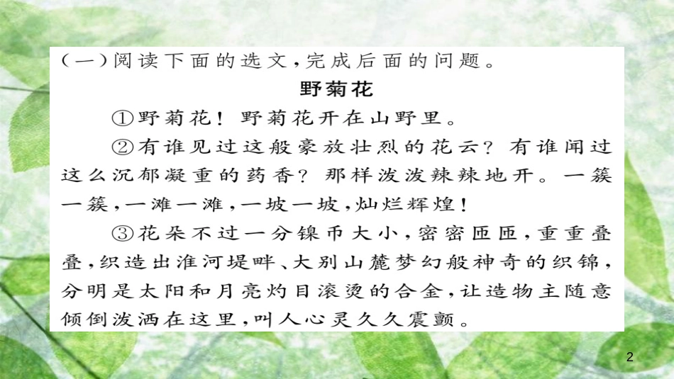 九年级语文上册 专题八 现代文阅读习题优质课件 新人教版_第2页