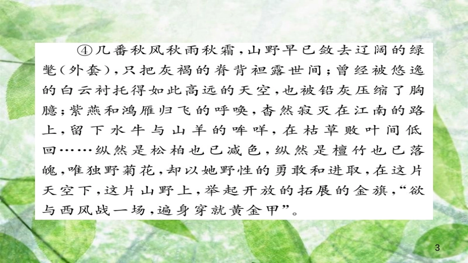 九年级语文上册 专题八 现代文阅读习题优质课件 新人教版_第3页