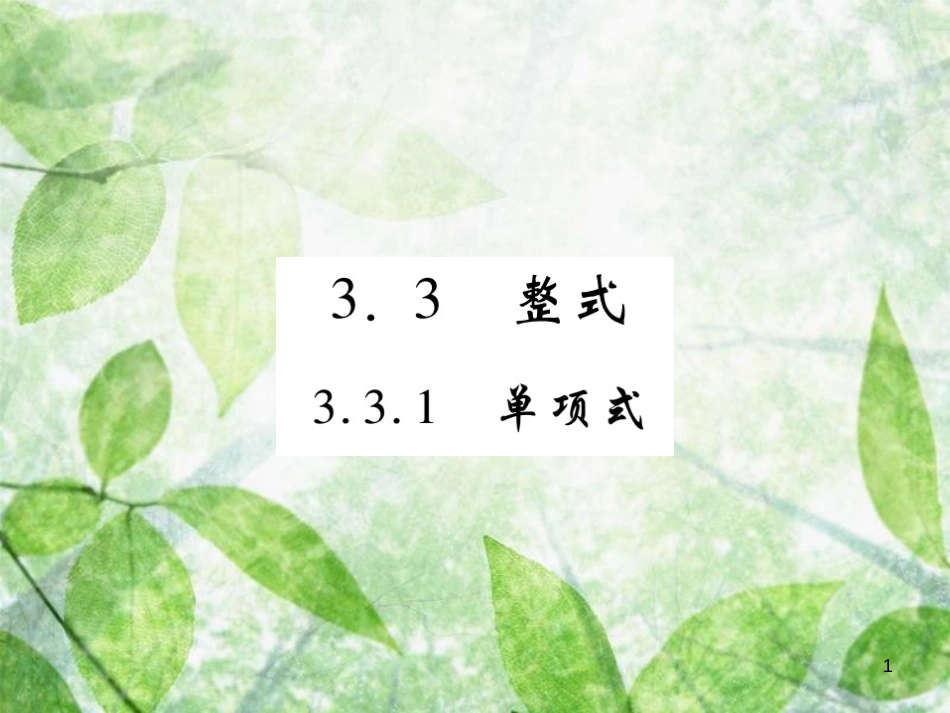 七年级数学上册 第3章 整式的加减 3.3 整式 3.3.1 单项式练习优质课件 （新版）华东师大版_第1页