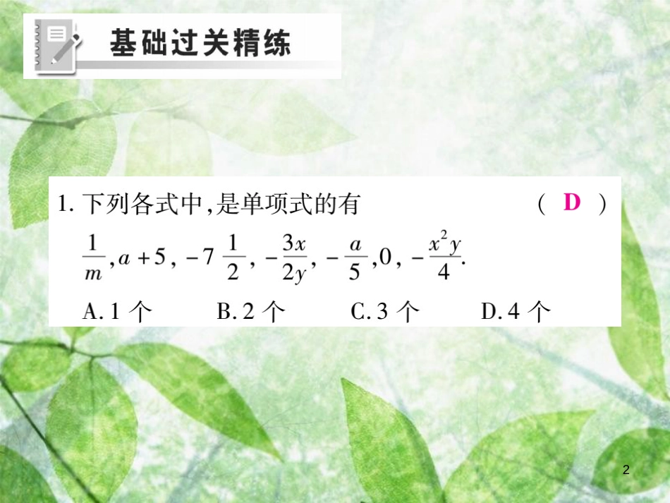 七年级数学上册 第3章 整式的加减 3.3 整式 3.3.1 单项式练习优质课件 （新版）华东师大版_第2页