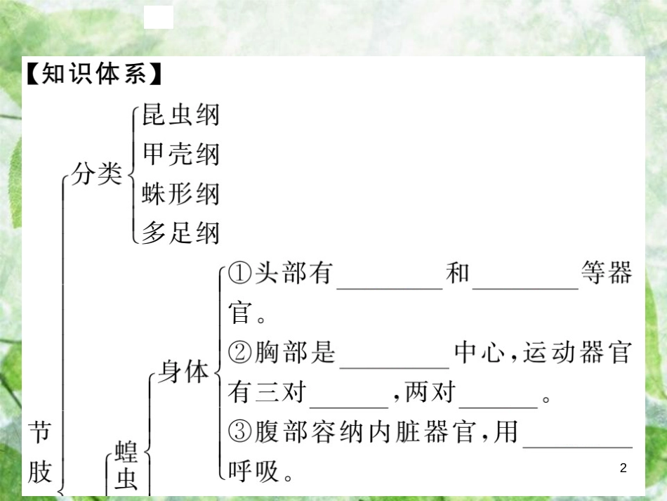 八年级生物上册 第五单元 第一章 第三节 软体动物和节肢动物（第2课时 节肢动物）习题优质课件 （新版）新人教版_第2页