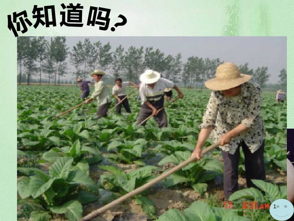 八年级生物上册 第三单元 第四章 第一节 呼吸作用优质课件 （新版）冀教版_第1页