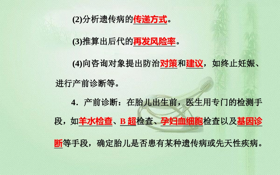 高中生物学业水平复习 专题十 人类遗传病 考点2 人类遗传病的监测和预防优质课件_第2页