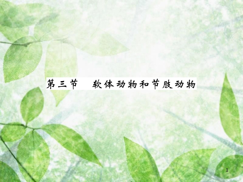 八年级生物上册 第五单元 第1章 第3节 软体动物和节肢动物习题优质课件 （新版）新人教版_第1页