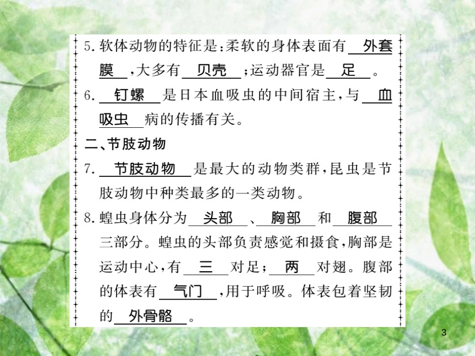 八年级生物上册 第五单元 第1章 第3节 软体动物和节肢动物习题优质课件 （新版）新人教版_第3页