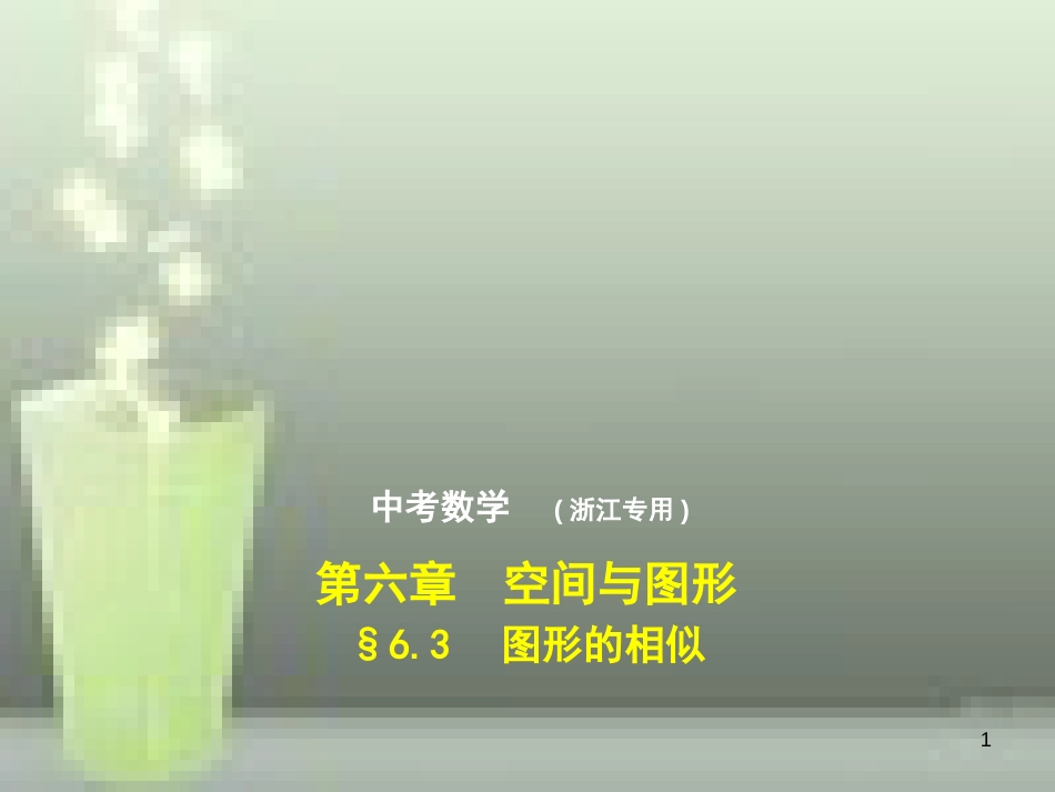 （浙江专用）2019年中考数学总复习 第六章 空间与图形 6.3 图形的相似（试卷部分）优质课件_第1页
