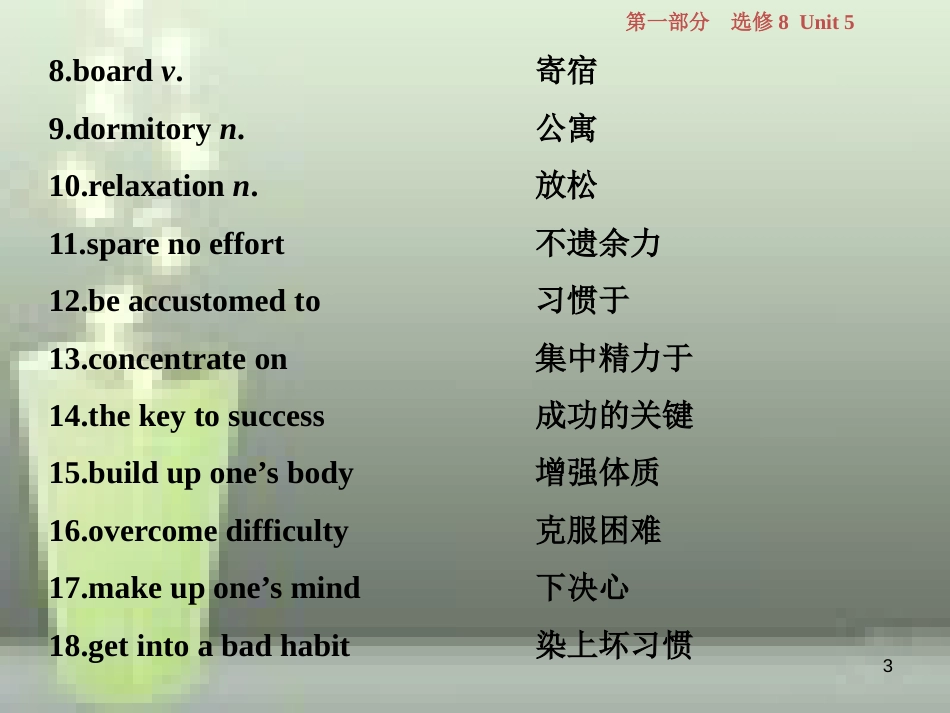 高考英语一轮复习 第一部分 基础考点聚焦 Unit 5 Meeting your ancestors优质课件 新人教版选修8_第3页