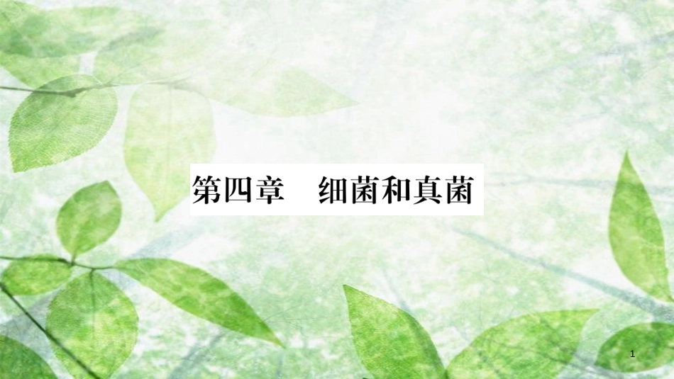 八年级生物上册 第5单元 第4章 第1节 细菌和真菌的分布习题优质课件 （新版）新人教版_第1页
