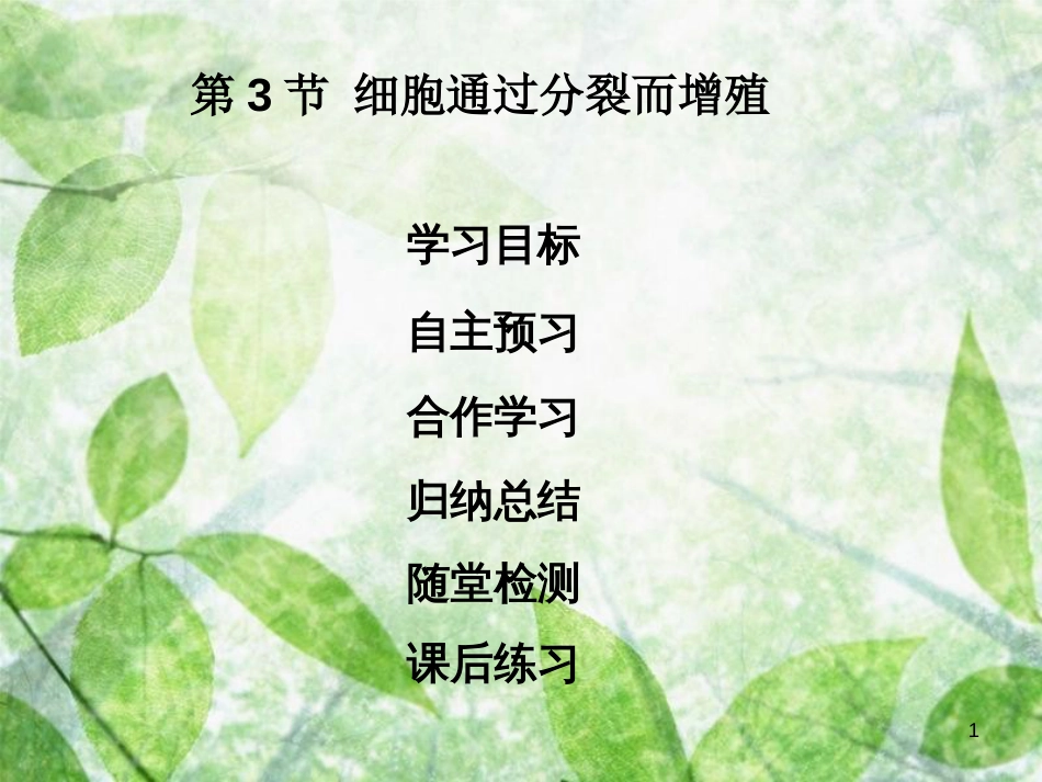 七年级生物上册 第2单元 第3章 第3节 细胞通过分裂而增殖优质课件 （新版）北师大版_第1页