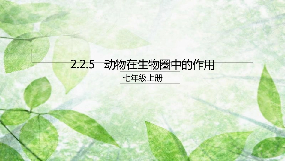 七年级生物上册 2.2.5《动物在生物圈中的作用》优质课件 （新版）济南版_第1页