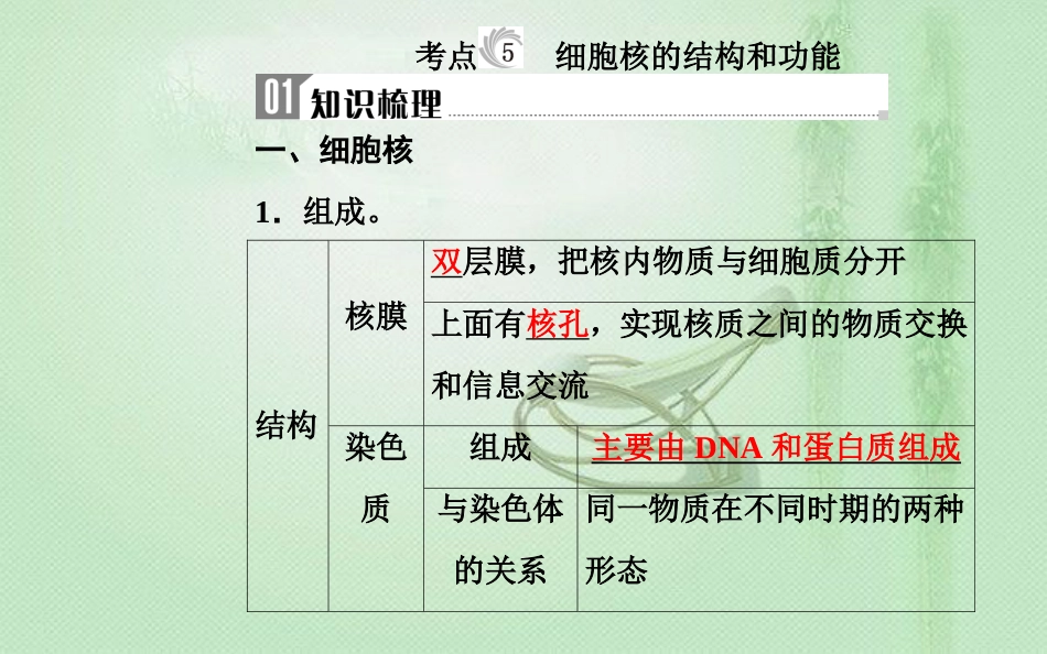 高中生物学业水平复习 专题二 细胞的结构 考点5 细胞核的结构和功能优质课件_第2页