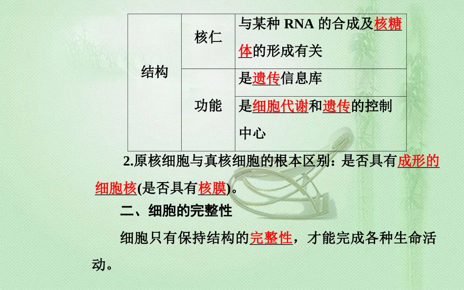高中生物学业水平复习 专题二 细胞的结构 考点5 细胞核的结构和功能优质课件_第3页