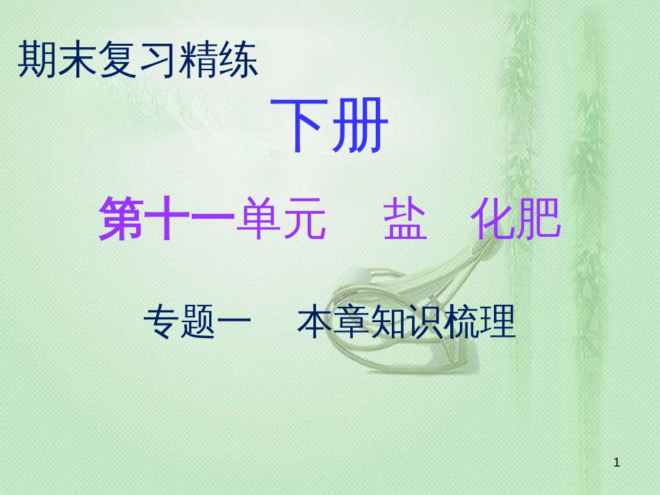 九年级化学下册 期末复习精炼 第十一单元 盐 化肥 专题一 本章知识梳理优质课件 （新版）新人教版_第1页