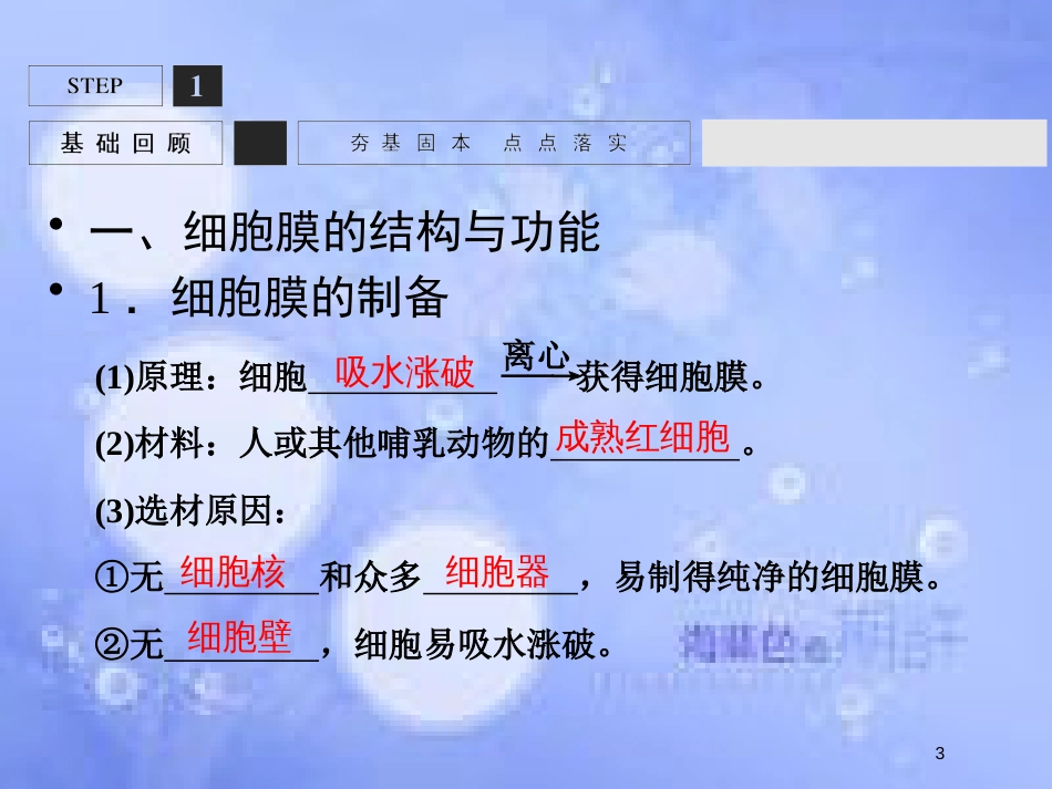 高考生物一轮复习 第2单元 细胞的基本结构与物质运输5课件 苏教版必修1_第3页