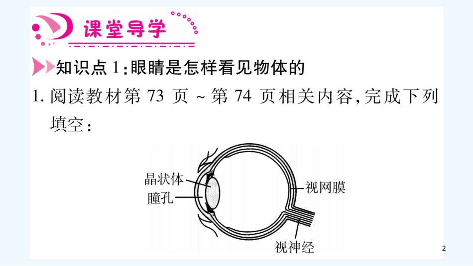 （江西专版）2018年八年级物理上册 3.7眼睛与光学仪器（第1课时）习题优质课件 （新版）粤教沪版_第2页