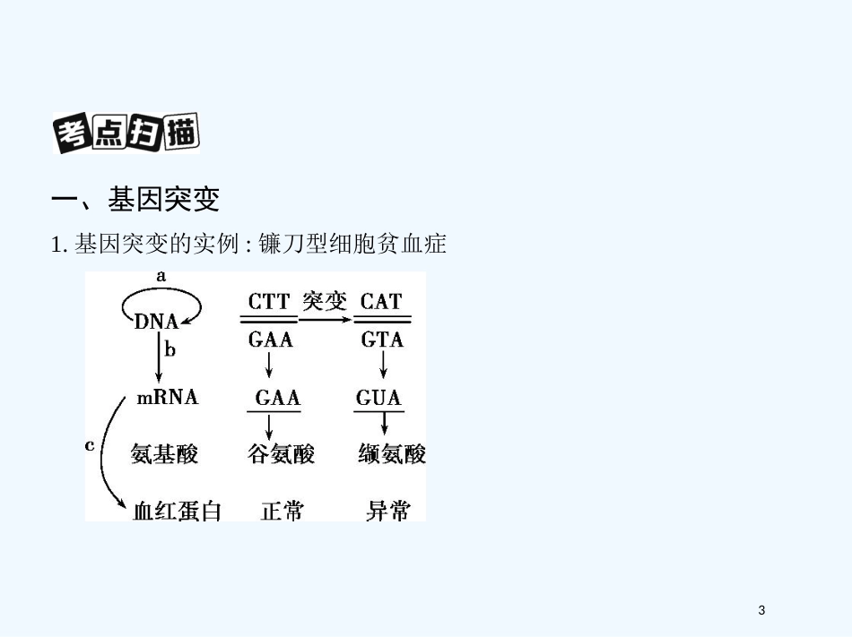 （北京专用）2019版高考生物一轮复习 第18讲 基因突变与基因重组优质课件_第3页