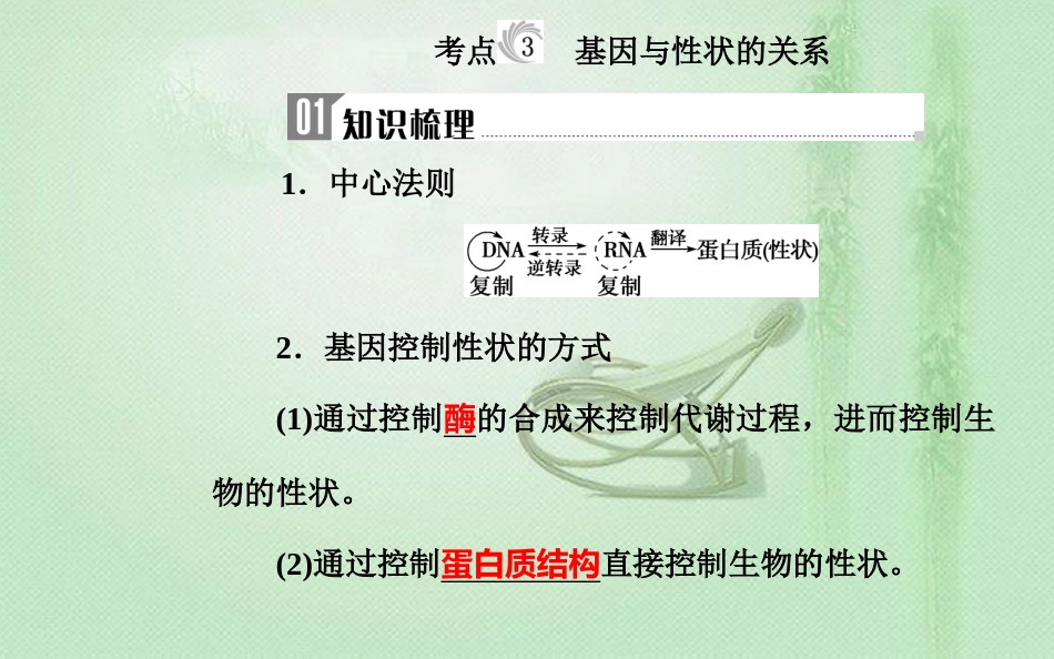 高中生物学业水平复习 专题八 遗传的基本规律 考点3 基因与性状的关系优质课件_第1页