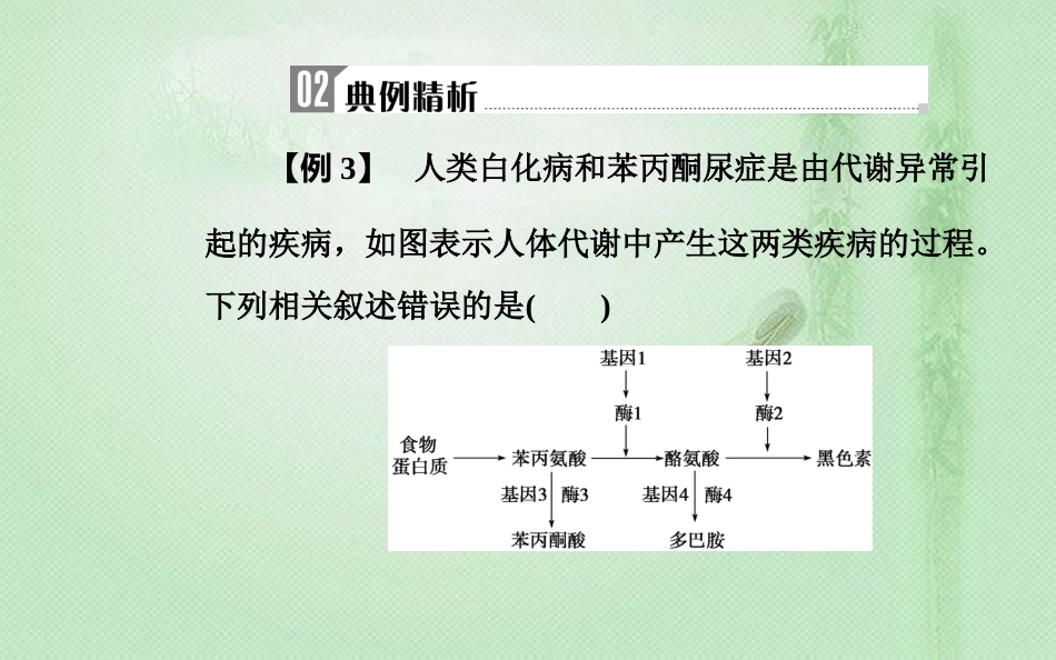 高中生物学业水平复习 专题八 遗传的基本规律 考点3 基因与性状的关系优质课件_第3页