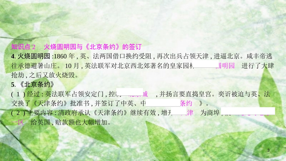 八年级历史上册 第一单元 中国开始沦为半殖民地半封建社会 第2课 第二次鸦片战争优质课件 新人教版[共12页]_第3页