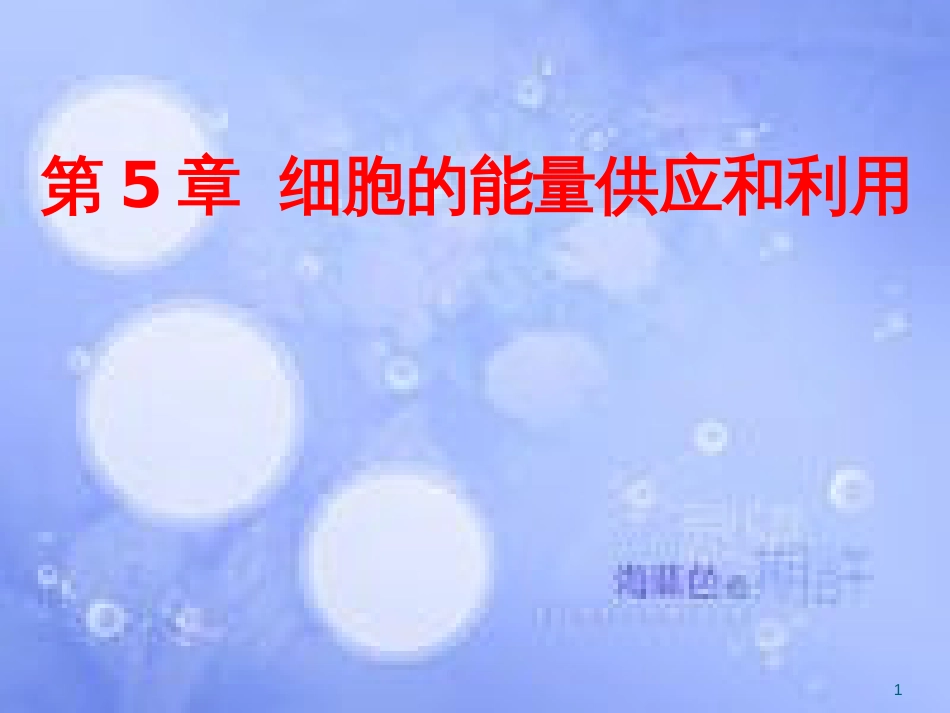 福建省寿宁县高中生物 第五章 细胞的能量通货ATP课件 新人教版必修1_第1页