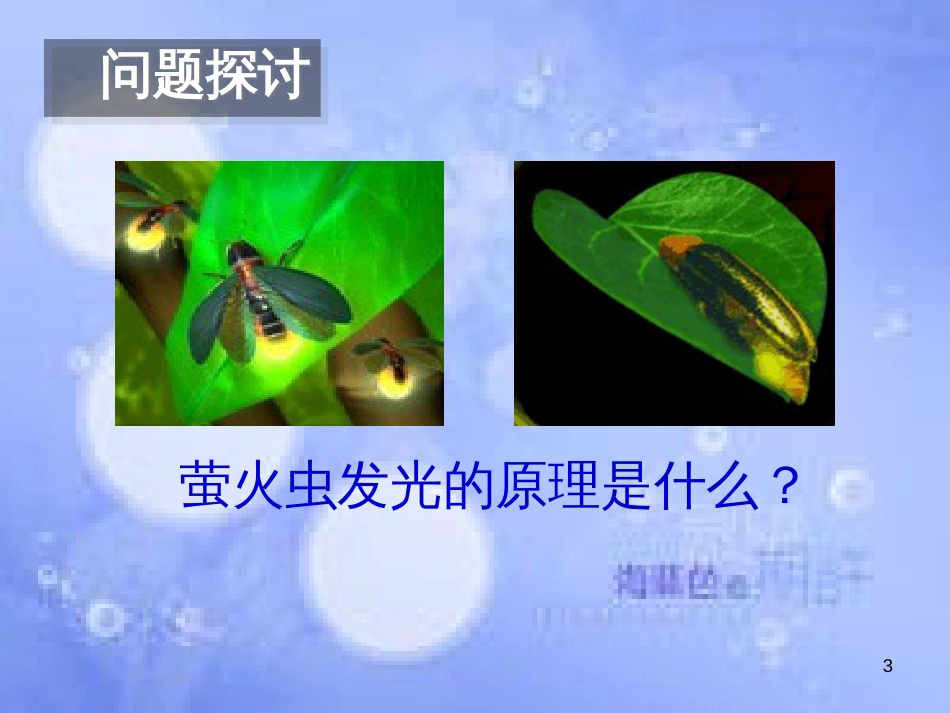 福建省寿宁县高中生物 第五章 细胞的能量通货ATP课件 新人教版必修1_第3页